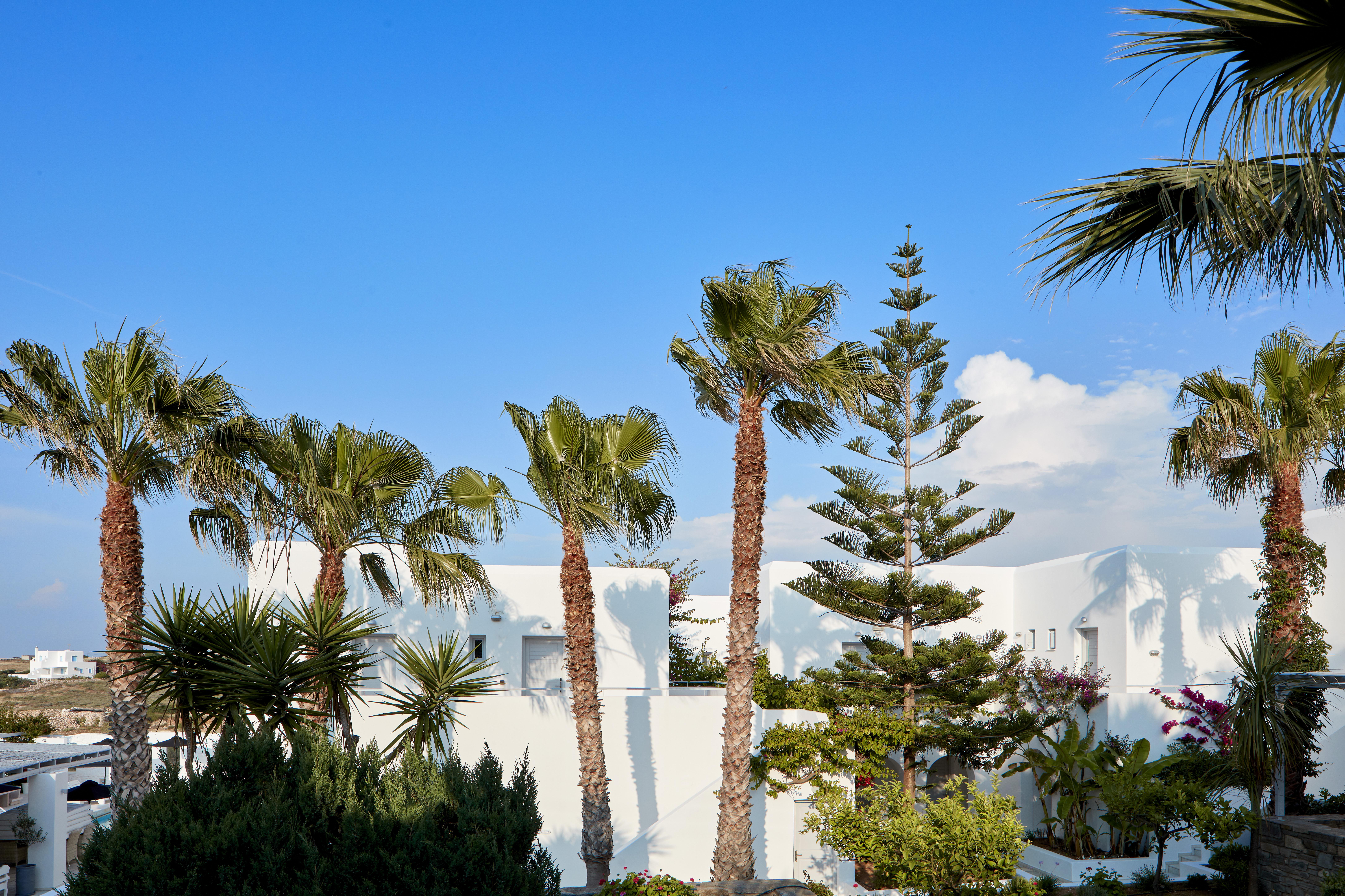 Mr And Mrs White Paros Náousa Exterior foto